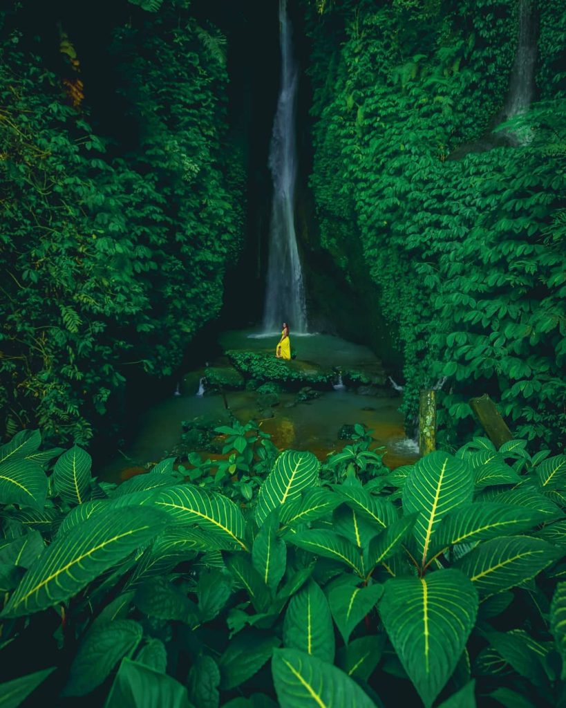 Bali Waterfall in Ubud area