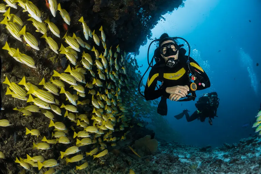 Bali diving