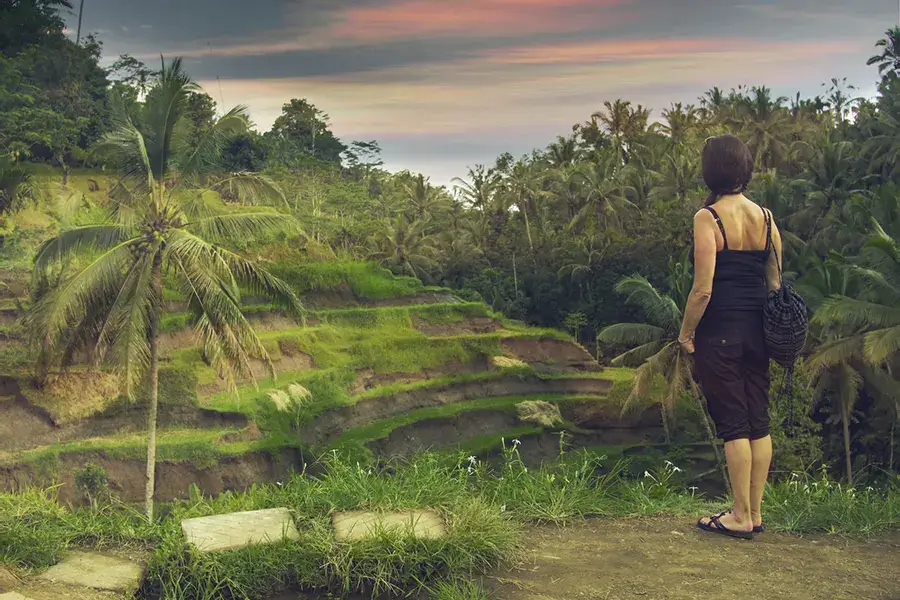 Bali Activities; Rice paddy trek