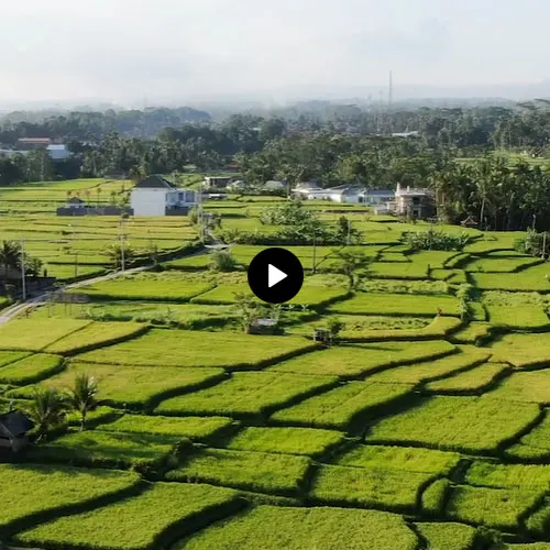 Viceroy Bali video - Experience