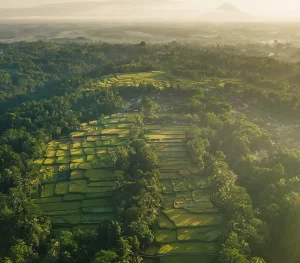 Sustainability - O2 Neutrality