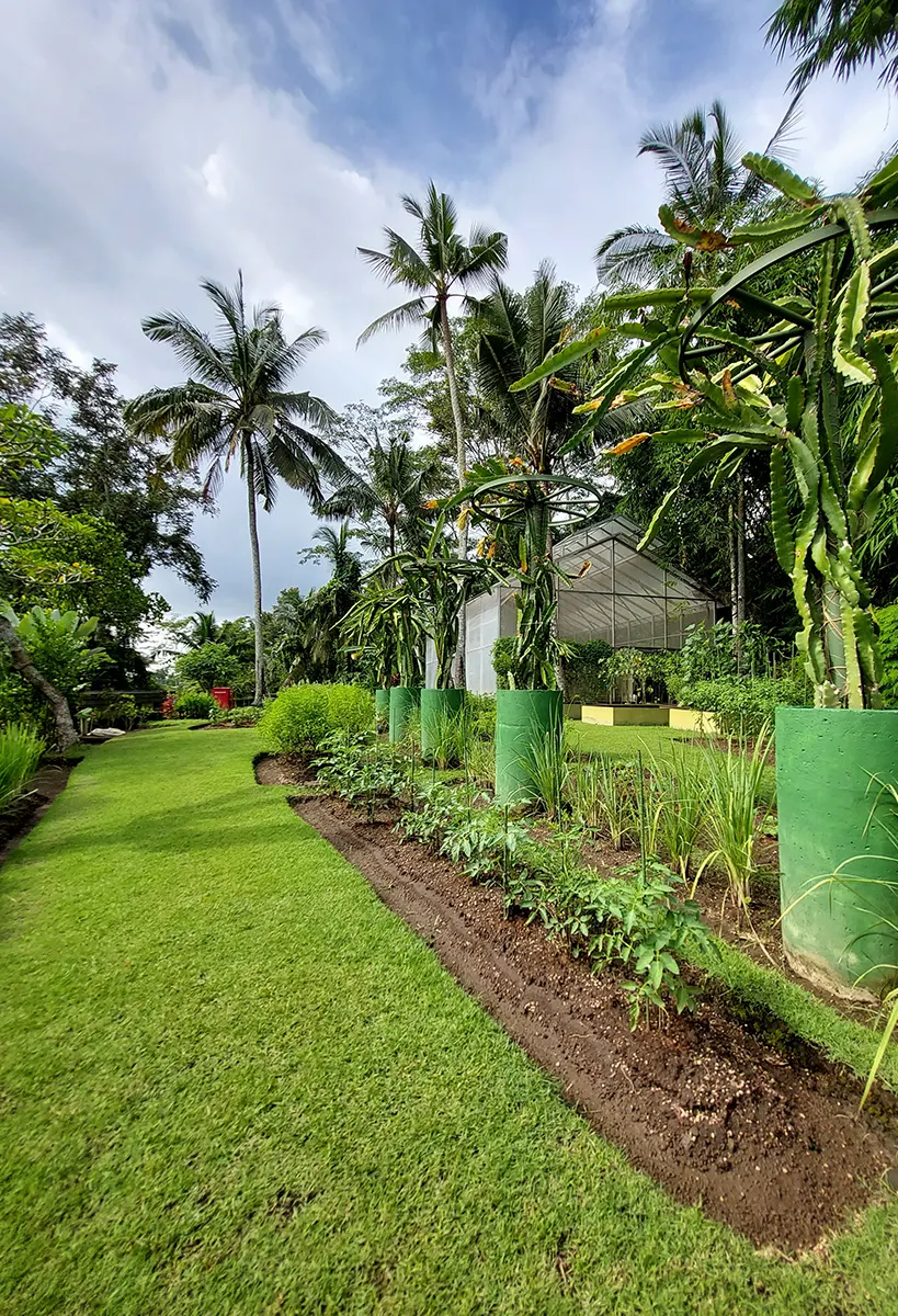 Viceroy Bali - Greenhouse