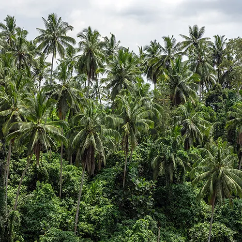 CasCades Restaurant View Valley