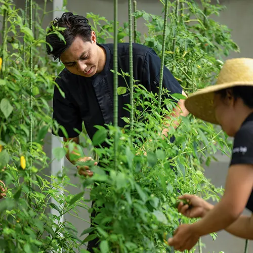 Cascades Restaurant Chef Yusuf