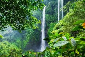 Sekumpul waterfall Bali