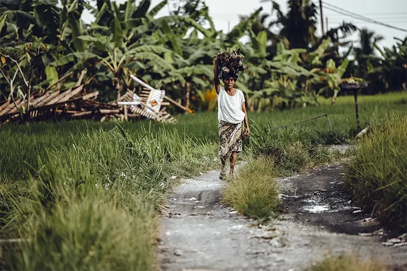 Viceroy Bali Surrounding