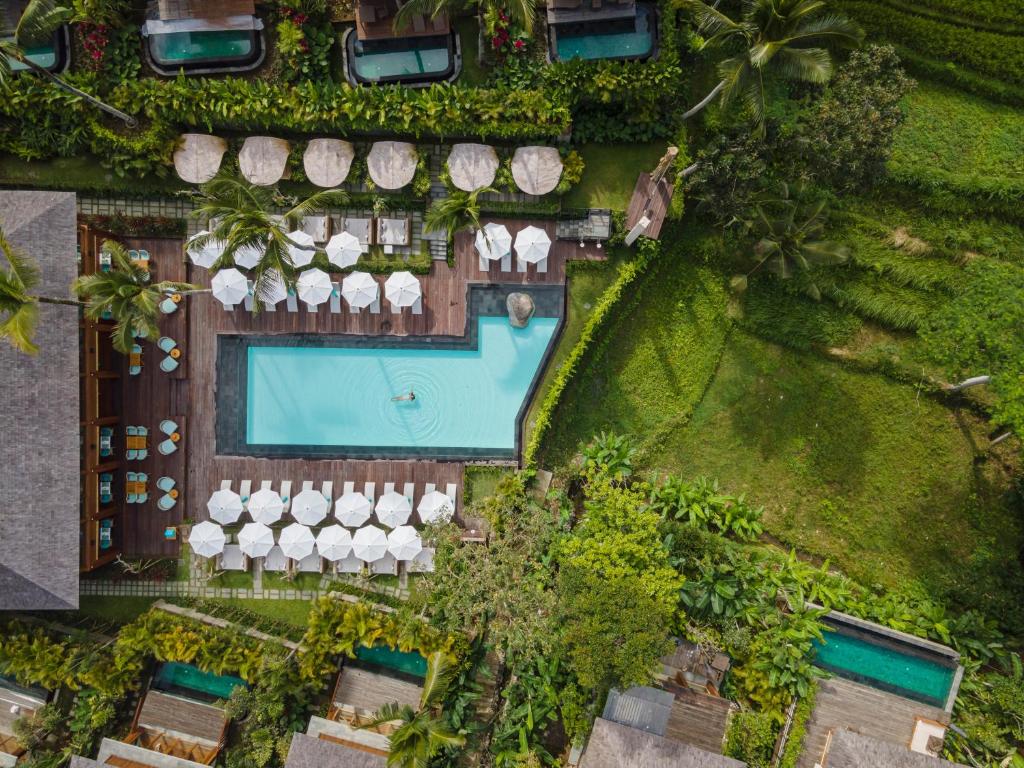 An aerial view of the pool and grounds of Kappa Senses Ubud