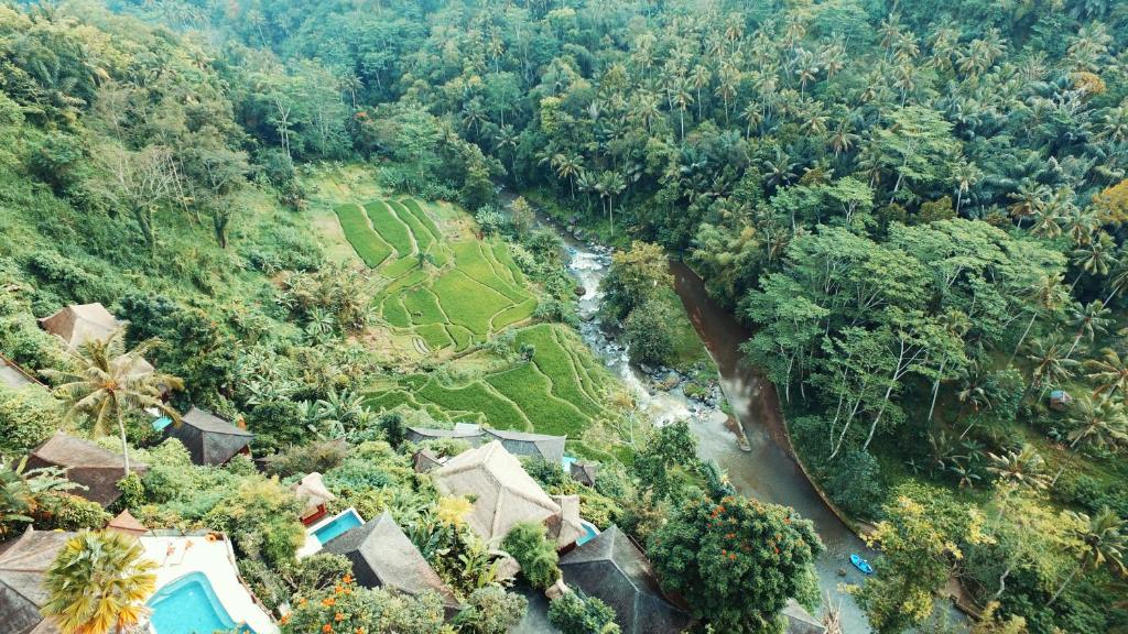 An aerial view of rice paddies, jungle, river and Kupu Kupu Barong Villas resort in Ubud