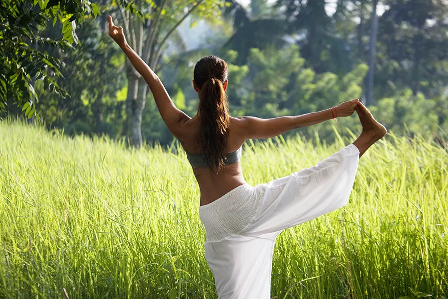 Wheelchair accessible