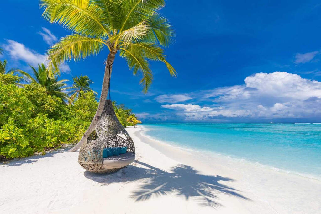 A white sand honeymoon beach with a swing hanging from a palm tree