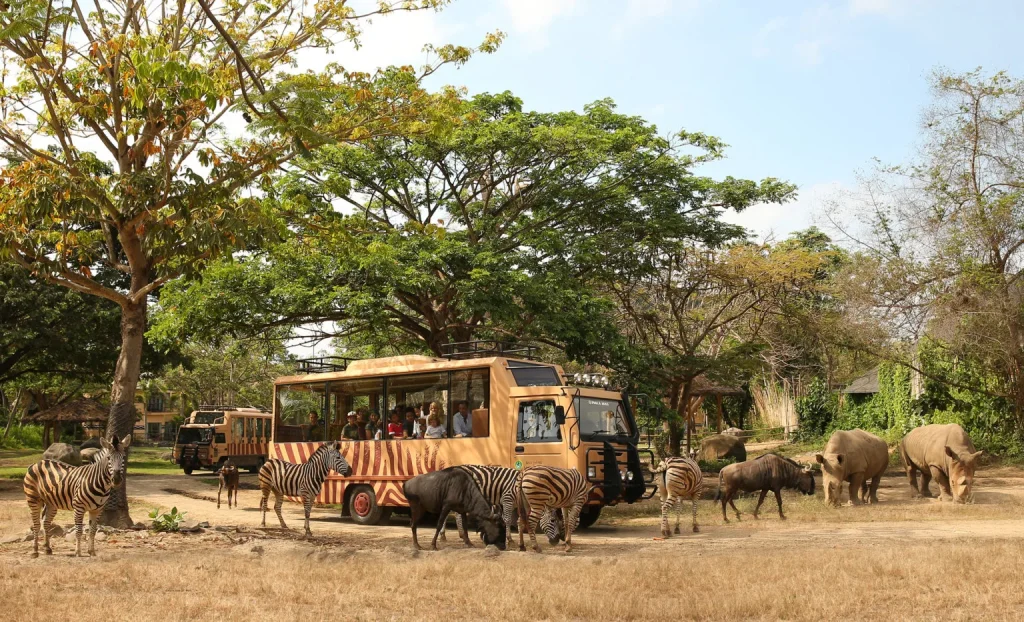 A family doing the safari in Bali
