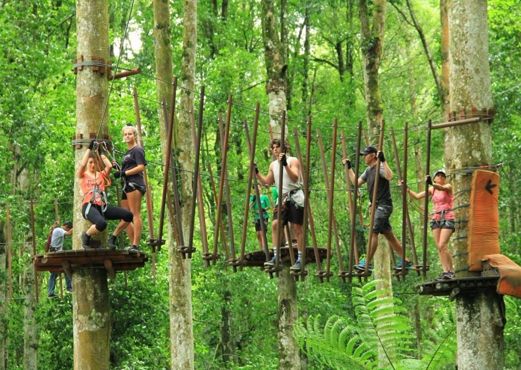 A family doing Treetop adventure park