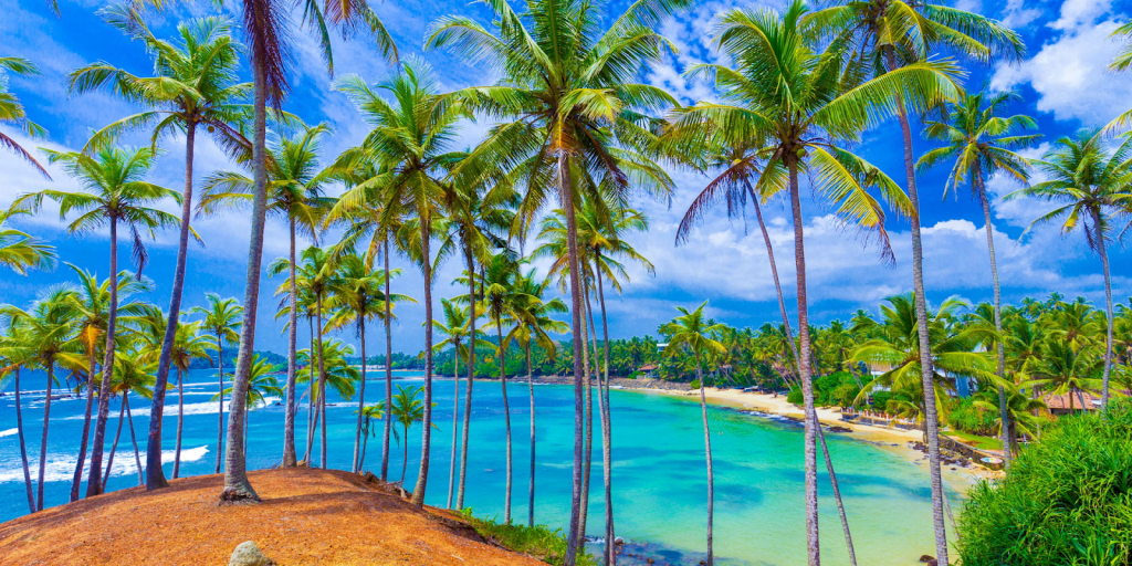 A Sri Lankan beach