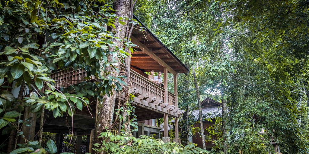 A wooden villa surrounded by forest in Langkawi